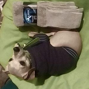 Brand new thermal socks